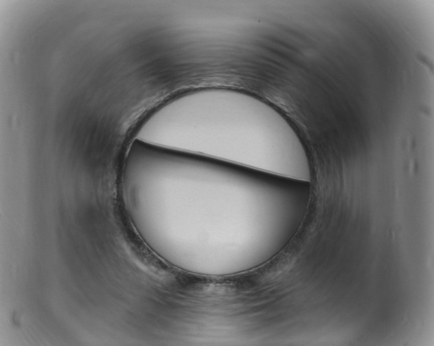 X0000099540303200805160755