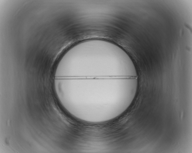 X0000099540304200805160755