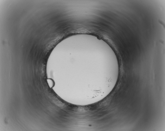 X0000099540305200805160755