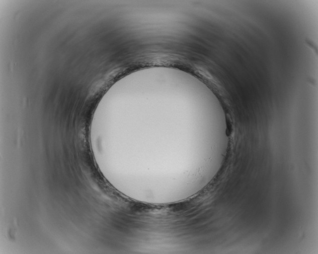 X0000099540306200805160755