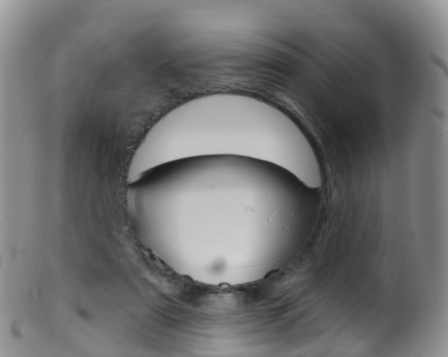 X0000099540307200805160755