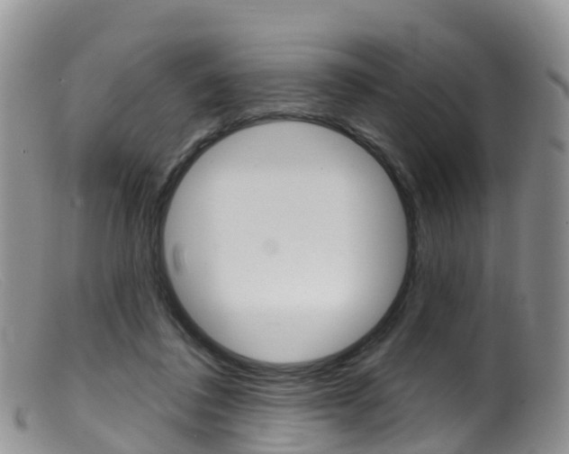 X0000099540308200805160755