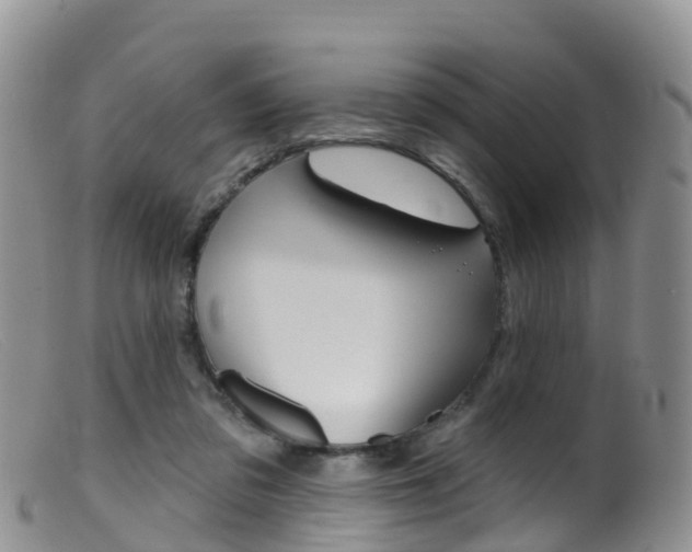 X0000099540309200805160755