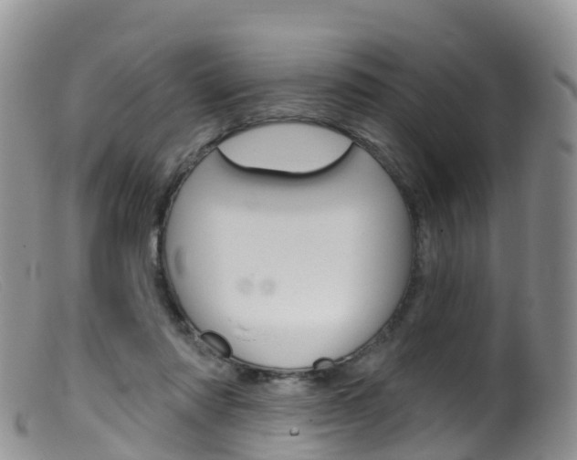 X0000099540310200805160755