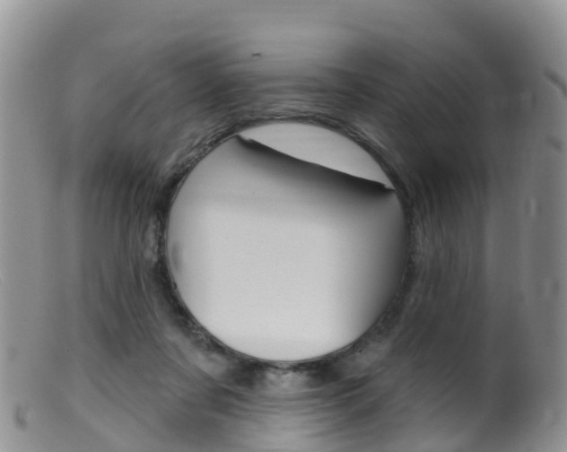 X0000099540311200805160755