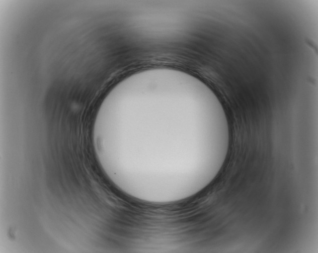 X0000099540312200805160755