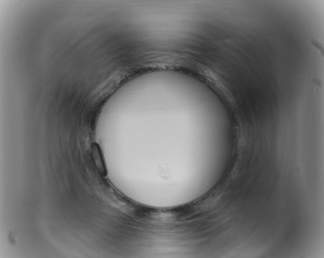 X0000099540313200805160755