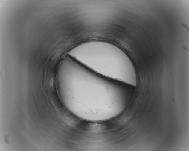 X0000099540315200805160755