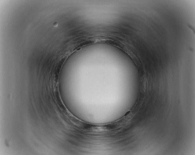 X0000099540316200805160755