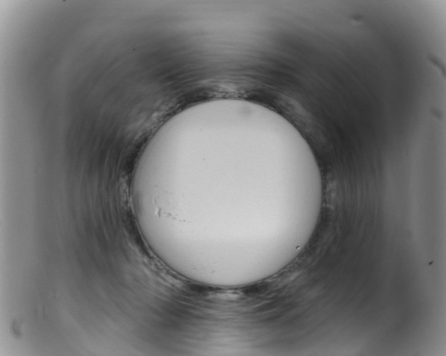 X0000099540318200805160755