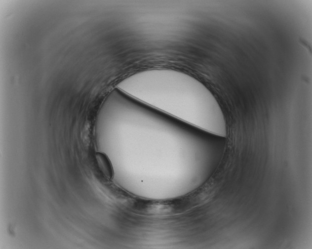 X0000099540319200805160755