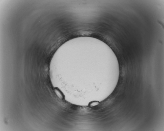 X0000099540321200805160755