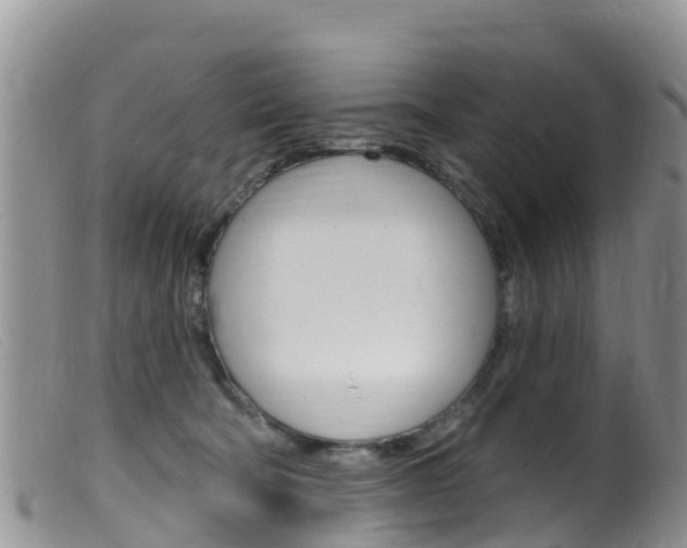 X0000099540322200805160755