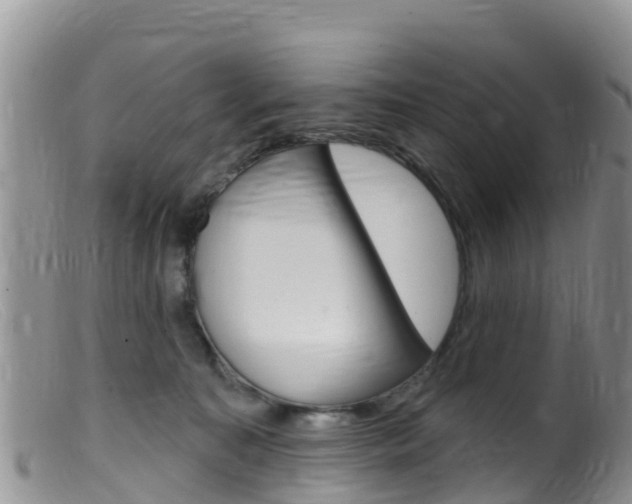 X0000099540323200805160755