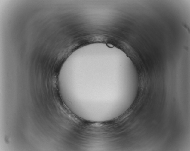 X0000099540326200805160755