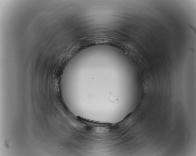 X0000099540327200805160755