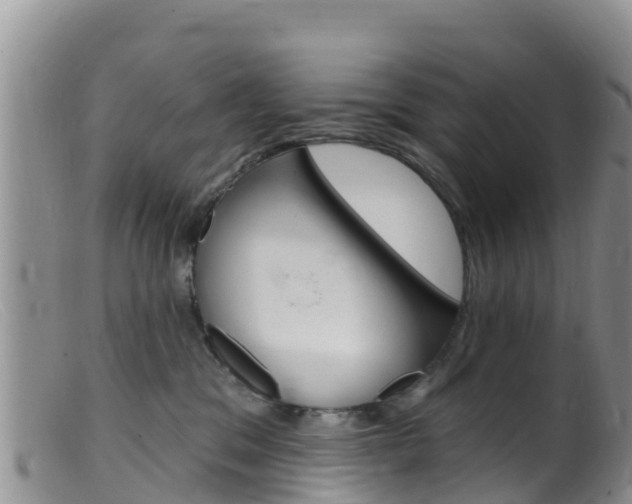 X0000099540329200805160755