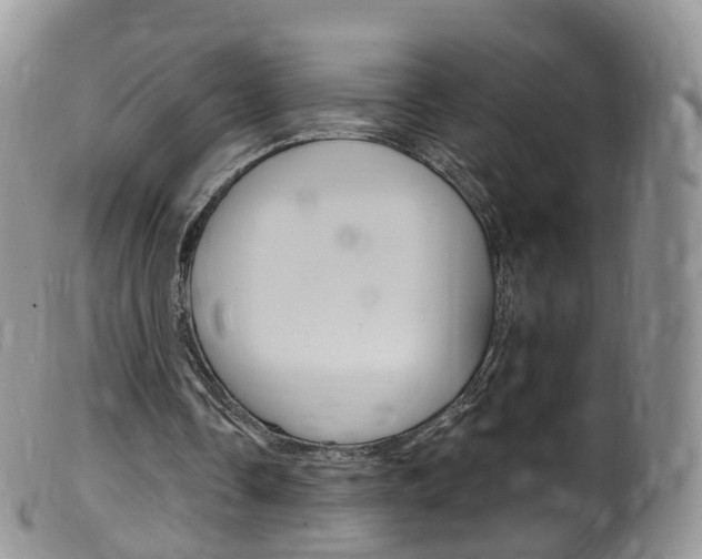 X0000099540338200805160754