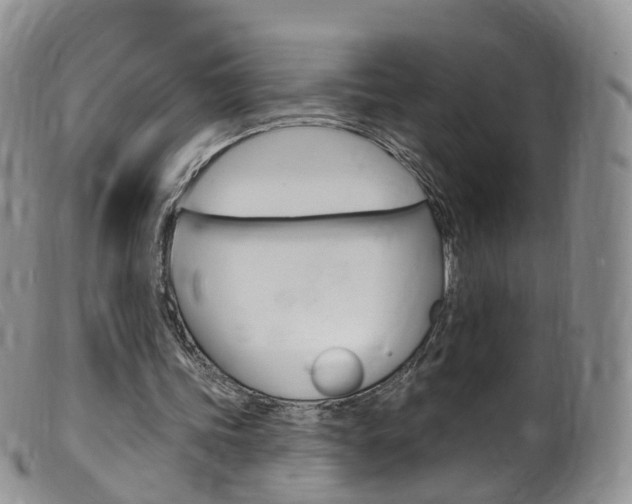 X0000099540339200805160754
