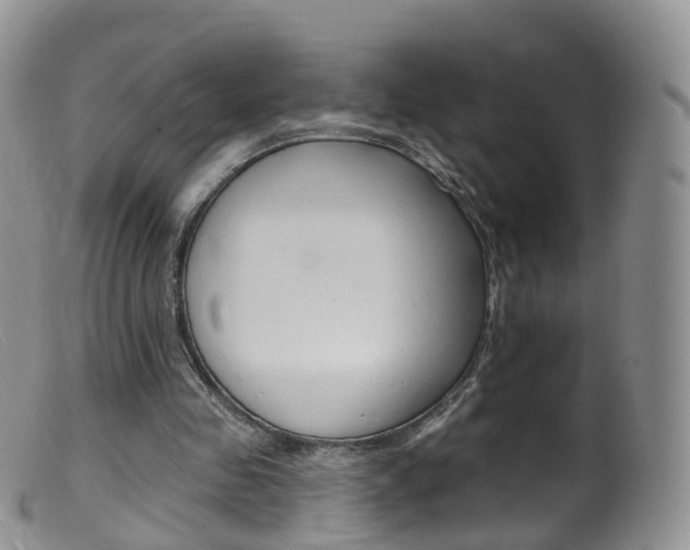 X0000099540341200805160754