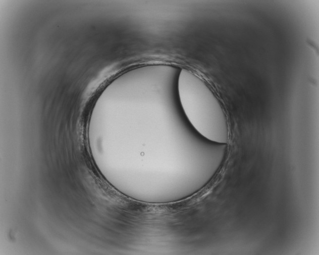 X0000099540343200805160754