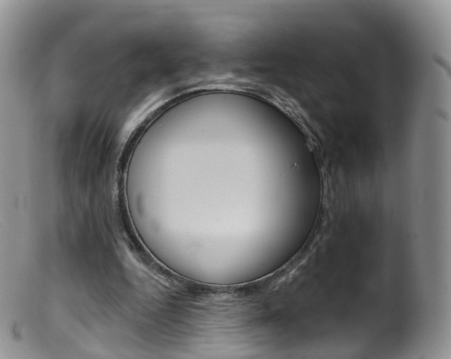 X0000099540344200805160754