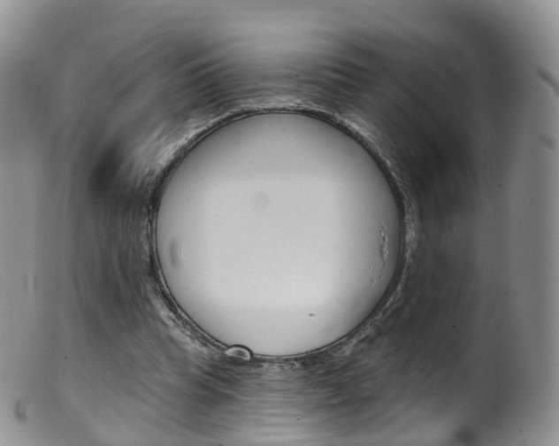 X0000099540345200805160754