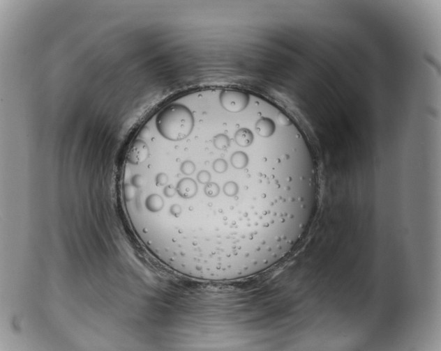 X0000099540346200805160754