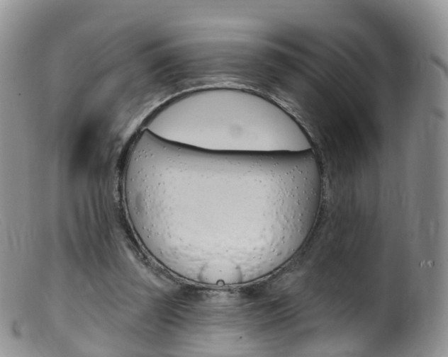 X0000099540347200805160754