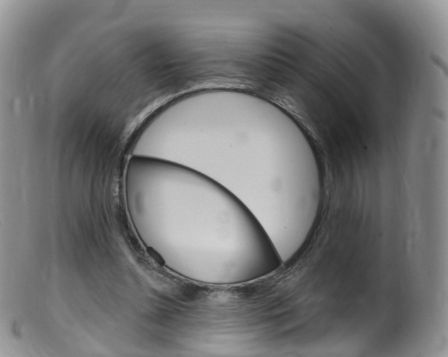 X0000099540348200805160754