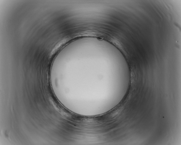 X0000099540349200805160754