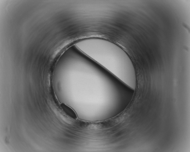 X0000099540350200805160754