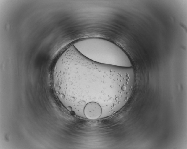 X0000099540351200805160754