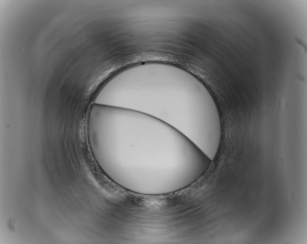 X0000099540352200805160754