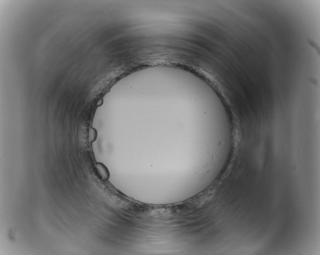 X0000099540353200805160754