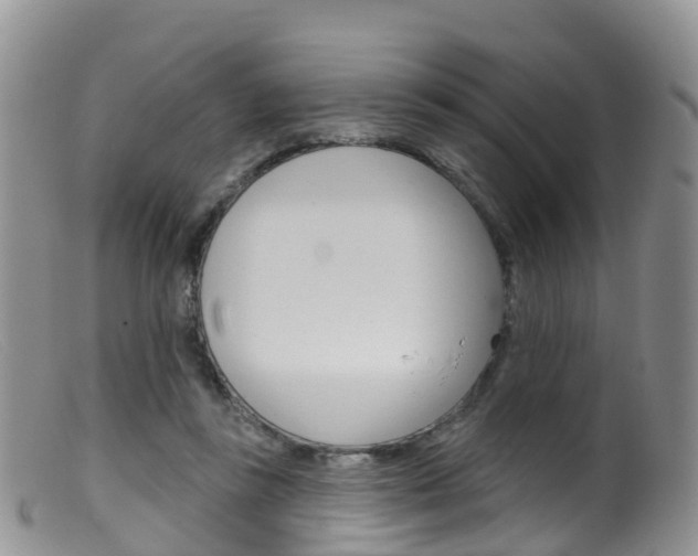 X0000099540355200805160754