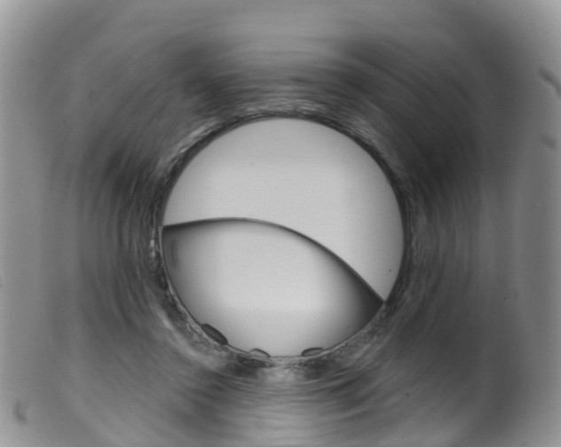 X0000099540356200805160754