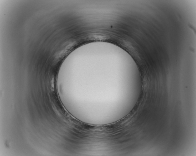 X0000099540358200805160754