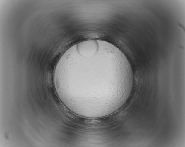 X0000099540359200805160754