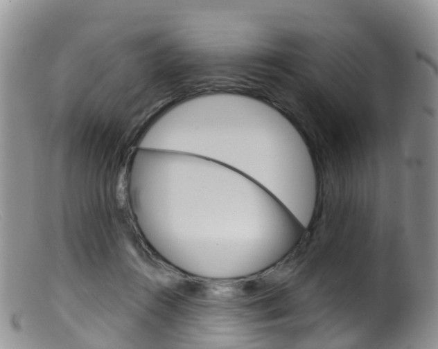 X0000099540360200805160754