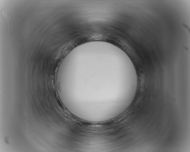 X0000099540361200805160754