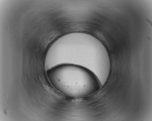 X0000099540362200805160754