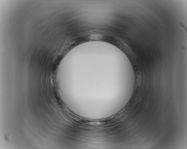 X0000099540363200805160754