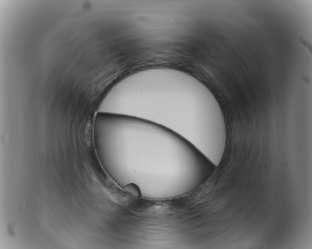 X0000099540364200805160754