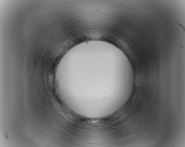 X0000099540365200805160754