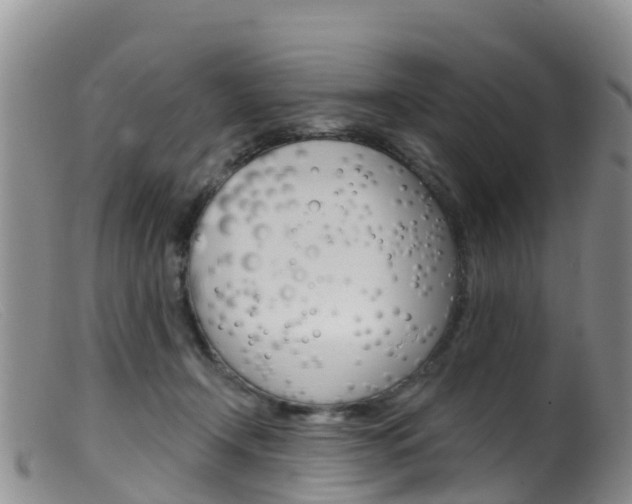 X0000099540366200805160754