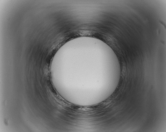 X0000099540367200805160754