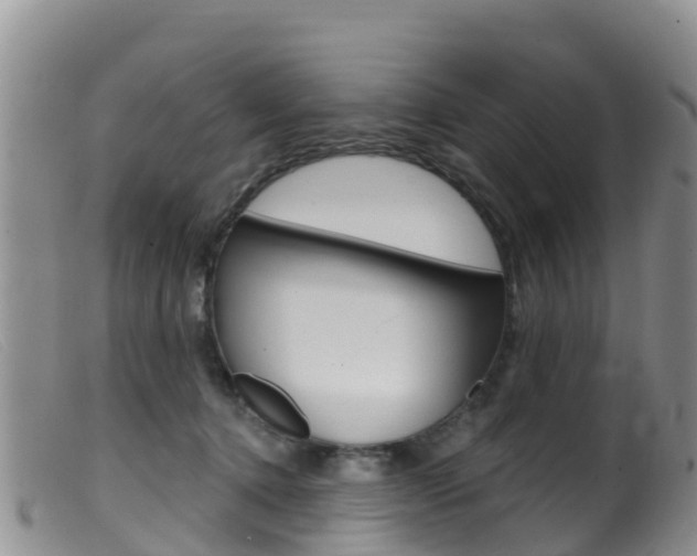 X0000099540368200805160754