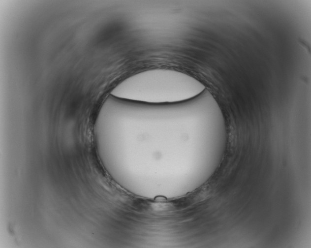 X0000099540371200805160754