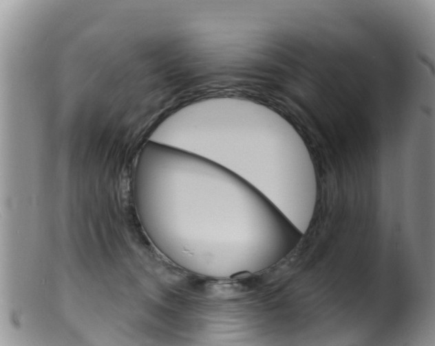 X0000099540372200805160755